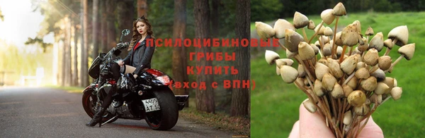 эйфоретик Мегион